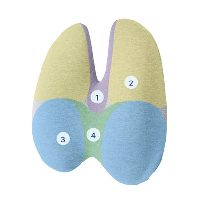 Coussin d’assise orthopédique