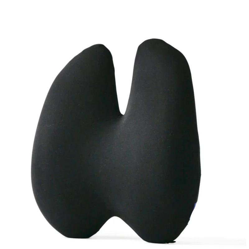 Coussin lombaire orthopédique
